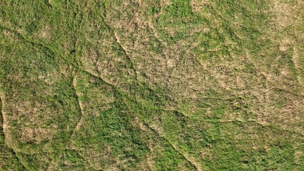 Drone aerial of Natural wetland marsh at Montezuma Wildlife Refuge in Up State New York landscape