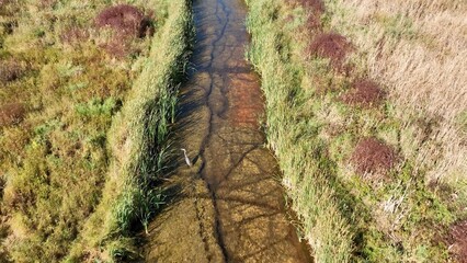 Drone aerial of Natural wetland marsh at Montezuma Wildlife Refuge in Up State New York landscape