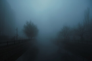 foggy landscape with a river and trees on an alley in the city on an autumn evening in the fog mist