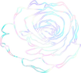 rose watercolor line art with holographic theme color 