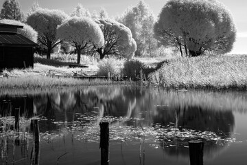 black and white landscape with trees at the water's edge, reflections on the water surface © ANDA