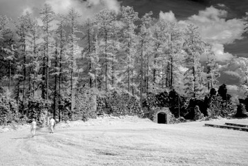 black and white photography, natural landscape, black and white natural view