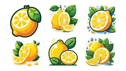 Set of Lemon fruit vector illustrations with Isolated on white background watercolor vector illustrations. Lemon, lime, pomelo.