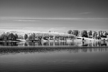 black and white landscape with trees at the water's edge, reflections on the water surface