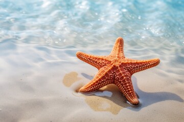 Fototapeta na wymiar Starfish in the water