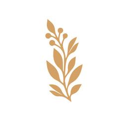 Flourish design set element vector