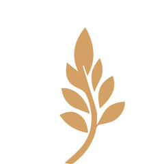 Flourish design set element vector