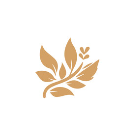 Flourish design set element vector