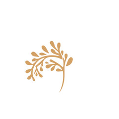 Flourish design set element vector