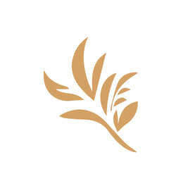 Flourish design set element vector