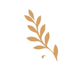 Flourish design set element vector