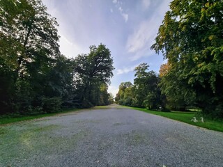 Road in the park