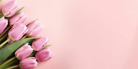 Beautiful composition spring flowers. Bouquet of pink tulips flowers on pastel pink background