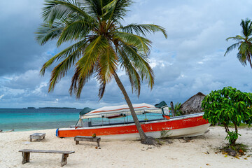 Red boat on sand beach shore behind single palm tree and blue caribbean water in background normal...