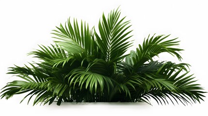 Fototapeta premium Realistic palm leaves shrubs corner on transparent backgrounds 3d rendering png