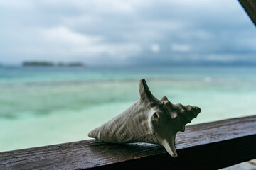 Side view of spiky twisted shell on balcony in front of caribbean beach