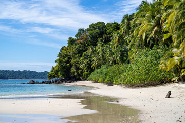 Jungle and beach of beautiful tropical coast in Panama near natural reserve of Coiba island