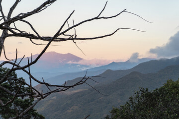 Landscape of Panama jungle mountains at sunrise with dead tree branches in foreground