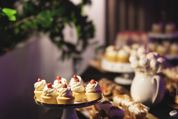 Decadent Delights: A Table Abloom With Homemade Cupcakes and Irresistible Desserts