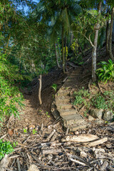 Fototapeta na wymiar Old stone stairs from beach with washed up wood into jungle at Santa Catalina in Panama