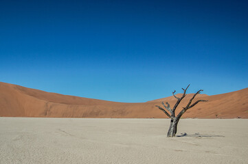 Deadvlei, Namibia