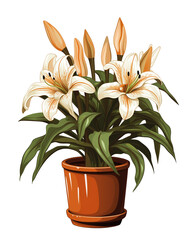 Bouquet of lilies illustration in a pot isolated on transparent background