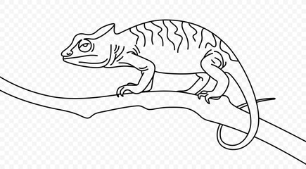 Continuous one line drawing of chameleon crawling along a tree branch vector design. Single line art illustration cute lizard on transparent background