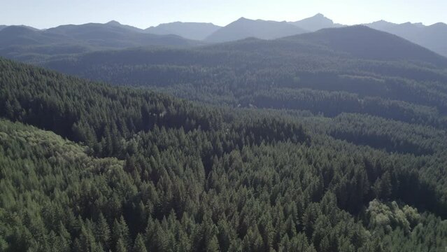 Ungraded 4k aerial vertical pan footage of mountains and forests on a hazy and sunny day at Gifford Pinchot National Forest in Washington State.