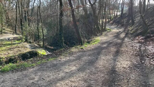 bosque en enero