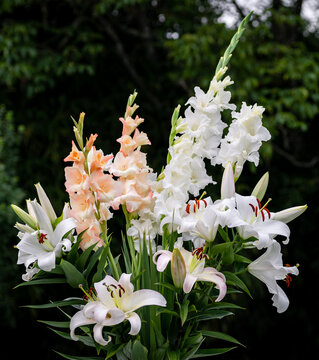 Bouquet de lys blancs et saumon,  lys Casablanca, , Lys Pretty Women, gla&iuml;euls, (jardin du ruisseau de l'&eacute;glise 2023)
