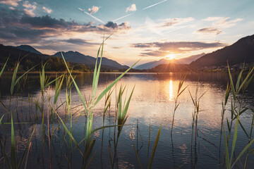 Calm alpine lake coast at the sunset. Weissensee lake, Austria