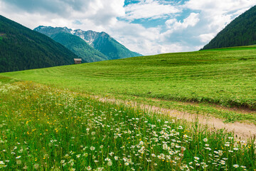 Picturesque alpine pasture - 721422870