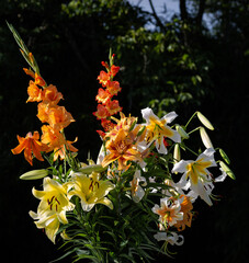 Bouquet de lys jaunes et oranges, lys Conca d'or, lys Mister Cas, lys Lady Alice, lys Hotel...