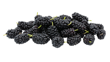 Many ripe mulberries isolated on white background.