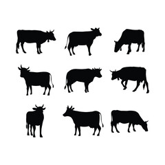 Set of cows. Black silhouette cow isolated on white. Hand drawn vector illustration.