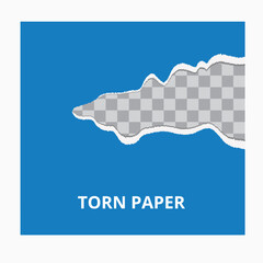 Color Torn paper background. Color Torn paper pieces. Ripped different paper fragments collection. Torn paper bundle for collage, banner, sticker, poster, social media, add.