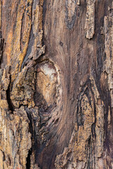 old wood background close up