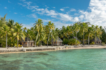 French Polynesia atoll with palm trees forest on the beach. - Over water view.