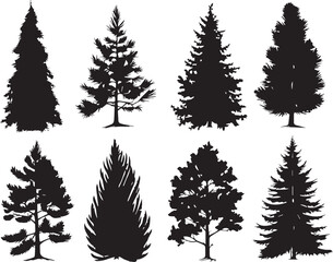 Obraz premium Set Trees. Hand drawn vector illustration