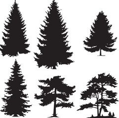 Fototapeta premium Set Trees. Hand drawn vector illustration