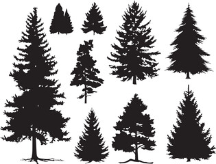 Obraz premium Set Trees. Hand drawn vector illustration