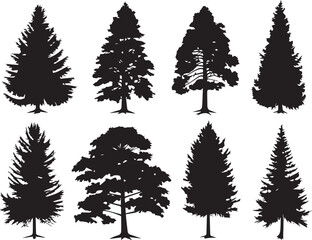 Fototapeta premium Set Trees. Hand drawn vector illustration