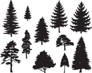 Obraz premium Set Trees. Hand drawn vector illustration