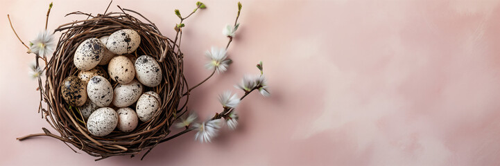 Draufsicht. Osterhintergrund. Banner. Arrangement von gesprenkelten Wachteleiern in einem Vogelnest mit zarten Weidenkätzchen Zweigen auf einem rosa Hintergrund mit Platz für Text