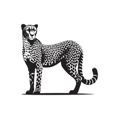Swift Shadows: A Collection of Majestic Cheetah Animal Silhouettes in Dynamic Poses - Cheetah Illustration - Cheetah Vector
