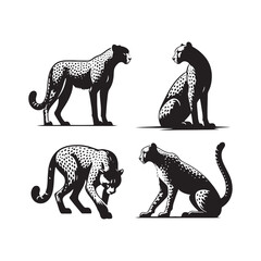 Energetic Elegance: Cheetah Silhouette Set Depicting the Powerful and Graceful Movements - Cheetah Illustration - Cheetah Vector
