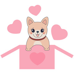 Funny orange welsh corgi in box and hearts vector illustration. Cool dog welsh corgi. Cartoon dog
