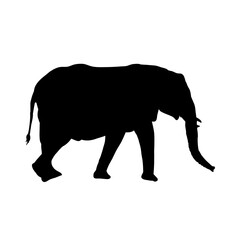  silhouette of elephant - vector illustration