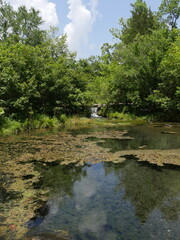 Portrait view of a lagoon at the Antelope Springs reflecting the trees, Chickasaw National Recreation Area.