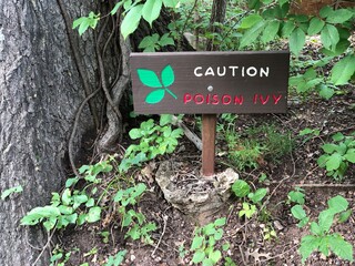Landscape hot of a warning sign for poison ivy by a roadside.